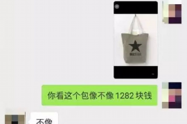 义县如何避免债务纠纷？专业追讨公司教您应对之策